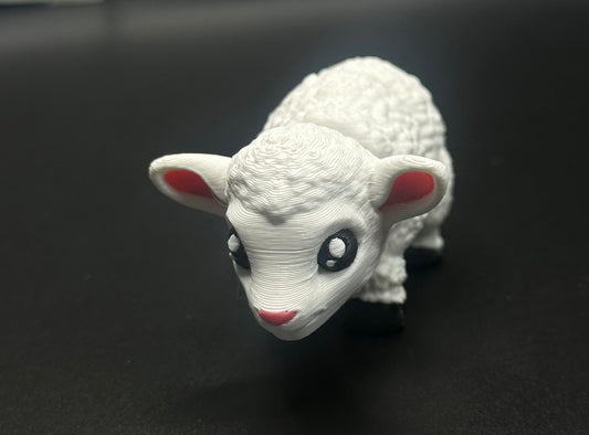 Mini Lamb Flexi
