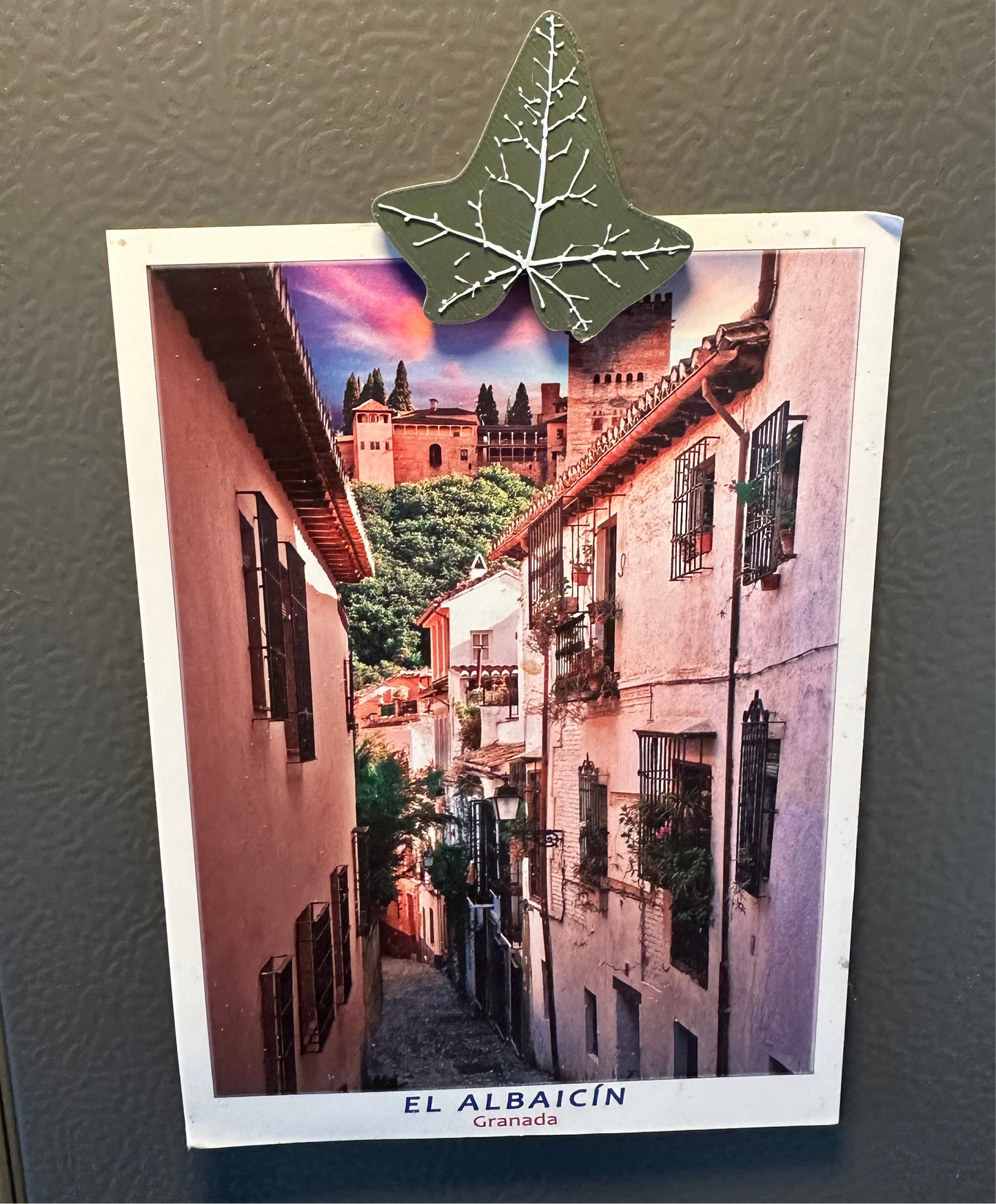 Fridge Magnets - Ivy Leaves