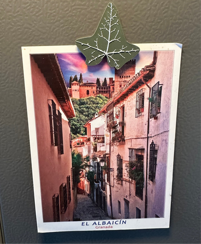 Fridge Magnets - Ivy Leaves