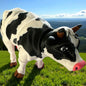 Holstein-Friesian Cow