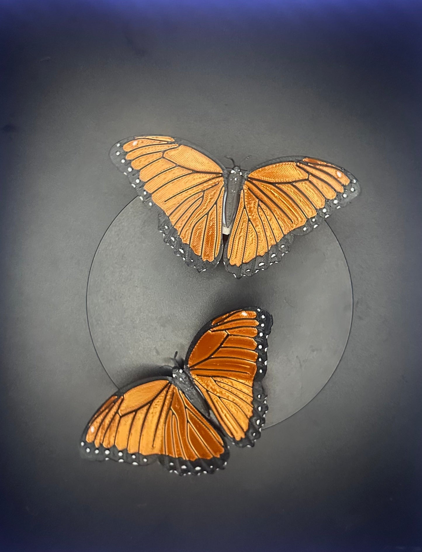 Fridge Magnet - Copper Gold Morpho Butterfly