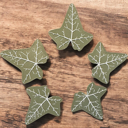 Fridge Magnets - Ivy Leaves